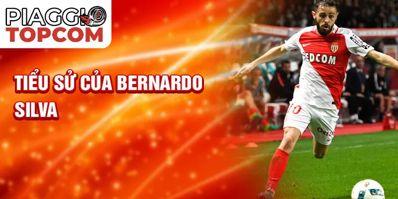 Tiểu sử của Bernardo Silva