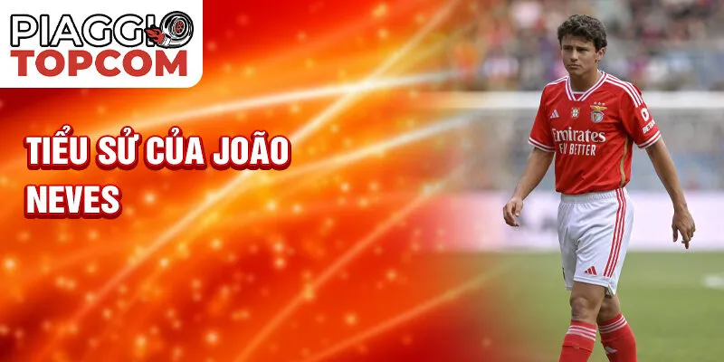 Tiểu sử của João Neves