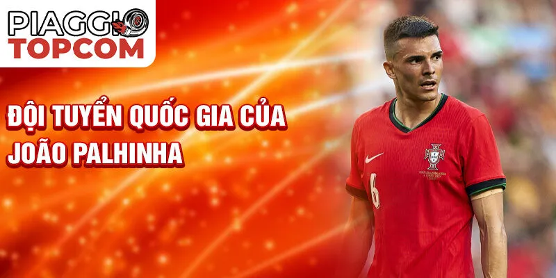 Đội tuyển quốc gia của João Palhinh